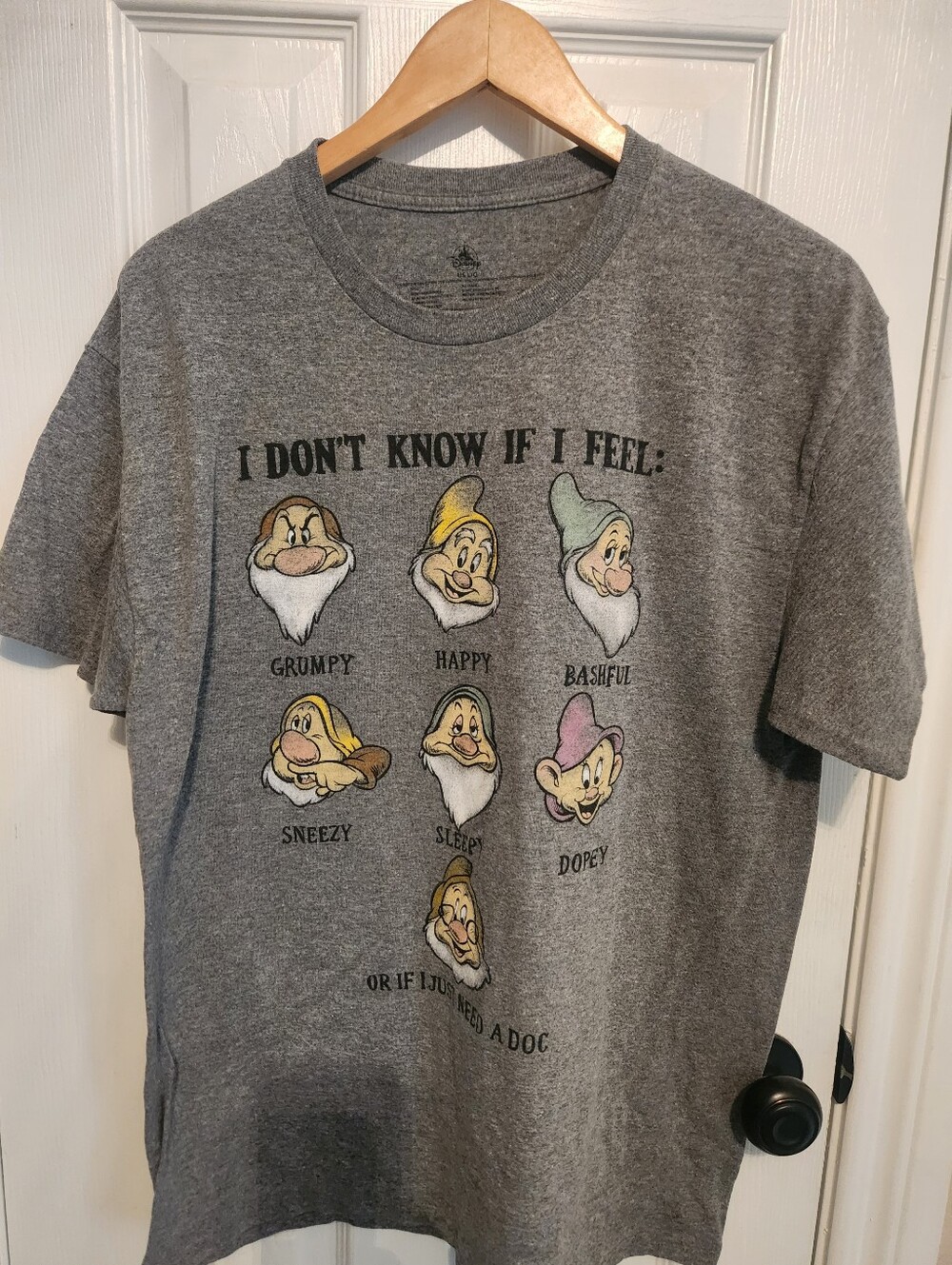 Disney Parks Men Shirt Sever Dwarfs I Dont Know How I Feel Size Large Gray
